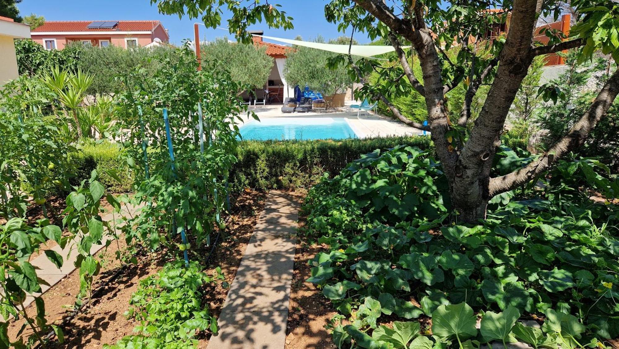 Resort Apartment Petrovic Šibenik Esterno foto